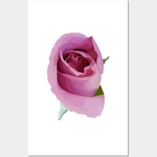 Pink Rose Posters and Art